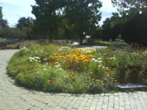 26 juillet 2009 (27)