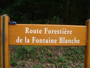 8-août-2009-Les-Etangs-de-la-Minière-(15)