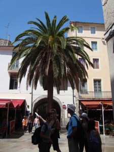 D.15-août-2009 (11)