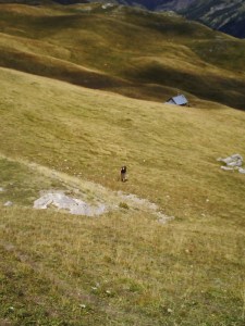 C.18-août-2009-(3)
