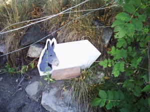 A.19-août-2009-(30)