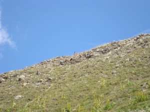 B.18-août-2009-(9)