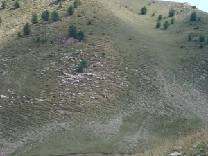 B.18-août-2009-(18)