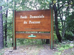 B.19-août-2009-(17)