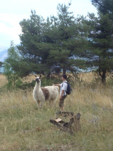 C.19-août-2009-(28)