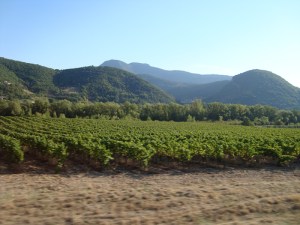 E.15 août 2009 (10)