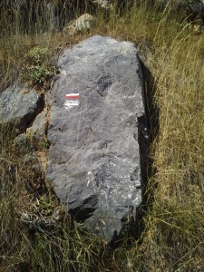 C.18-août-2009-(28)