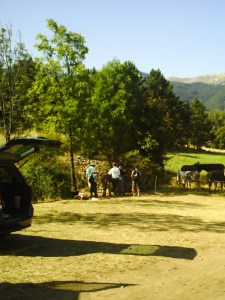 A.19-août-2009-(15)