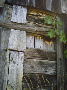 A.19-août-2009-(31)