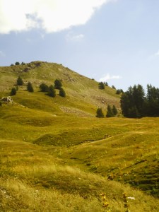 B.18-août-2009-(8)