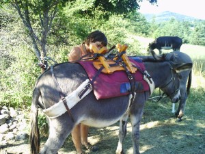 A.19-août-2009-(14)