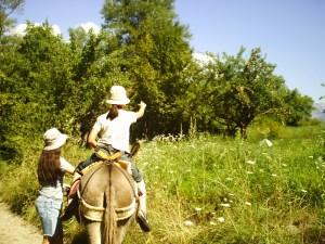 A.19-août-2009-(26)