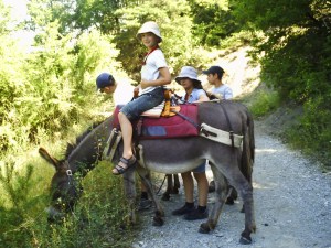 A.19-août-2009-(29)