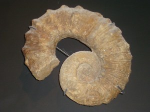 A.20-août-2009-(13)