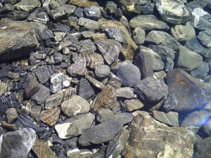 C.21-août-2009 (26)