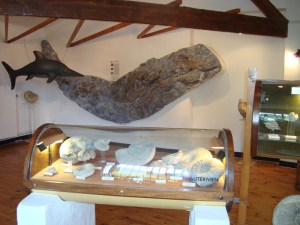 A.20-août-2009-(17)