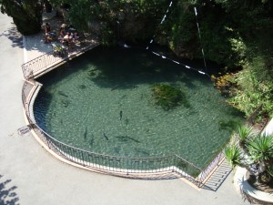 A.20-août-2009-(18)