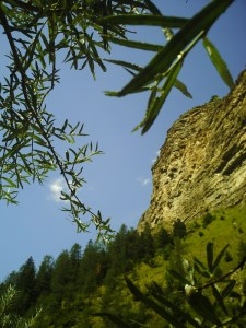 B.21-août-2009-(28)