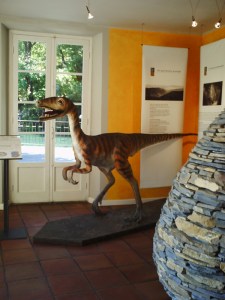 A.20-août-2009-(11)