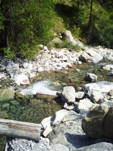 B.21-août-2009-(15)