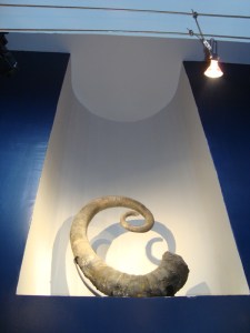 A.20-août-2009-(19)