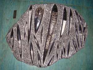 A.20-août-2009-(29)