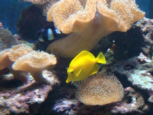 A.20-août-2009-(30)