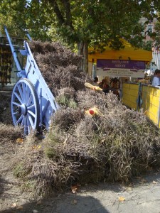 C.20-août-2009-(15)