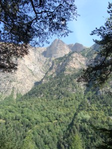 A.21-août-2009-(31)