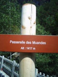 B.21-août-2009-(12)