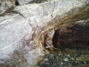 C.21-août-2009 (14)