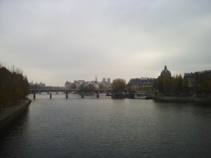 Paris-Rive-Gauche-(13)