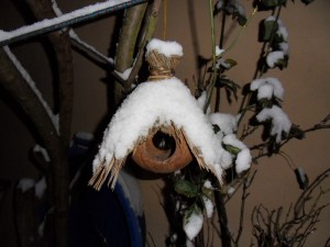 17-Décembre-2009-(25)