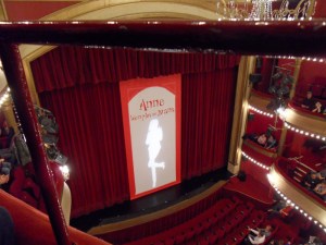 Anne-Roumanoff,-5-décembre-2009-(5)