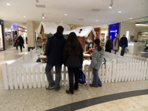 29-Décembre-2009-(9)