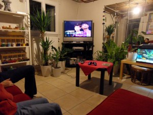 31-Décembre-2009 (12)