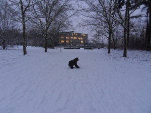 17-Décembre-2009-(14)
