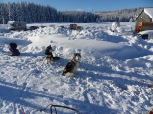 1.Plateau-de-Retort-(17)