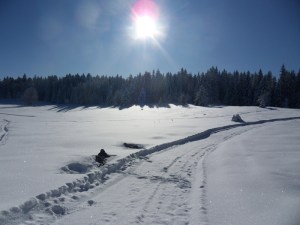 2.Plateau-de-Retort-(5)