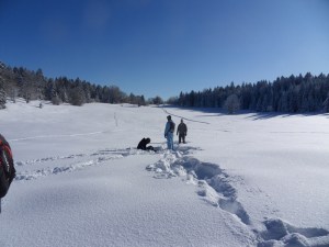 2.Plateau-de-Retort-(6)