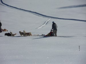 2.Plateau-de-Retort-(10)