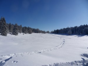 2.Plateau-de-Retort-(3)