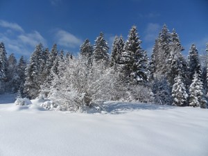 2.Plateau-de-Retort-(20)