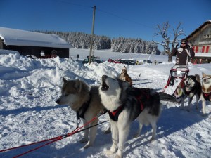 2.Plateau-de-Retort-(1)