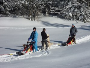2.Plateau-de-Retort-(12)