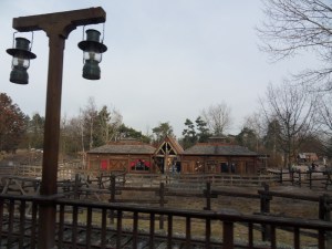 3.Disneyland-Paris-2010-(14)