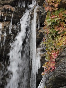 5.Disneyland-Paris-2010-(19)