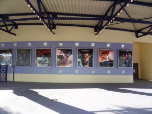 1.Disneyland-Paris-2010-(2)