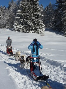 2.Plateau-de-Retort-(7)