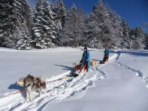 2.Plateau-de-Retort-(14)